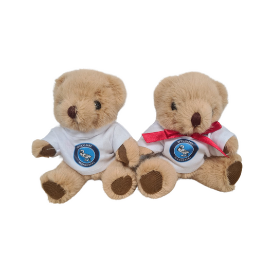 Wycombe Wanderers Baby Bear