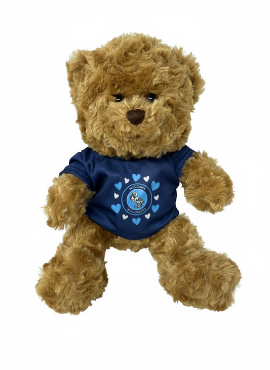 Wycombe Wanderers Bear