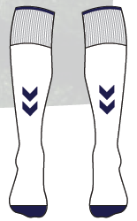Wycombe Wanderers Adult Third Socks 26/27