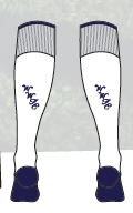 Wycombe Wanderers Adult Third Socks 26/27