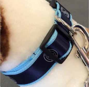 WWFC Dog Collar